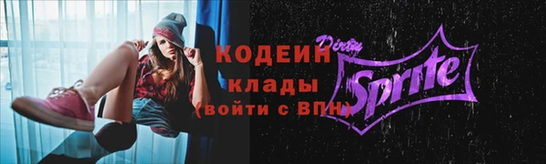 Альфа ПВП Верея