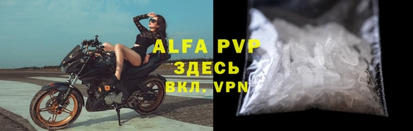 Альфа ПВП Верея