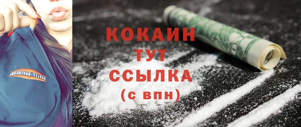 Альфа ПВП Верея