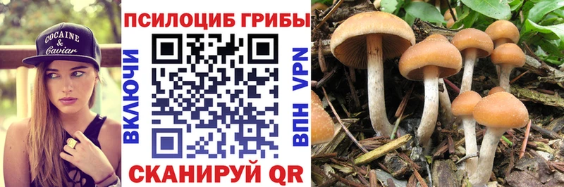 Галлюциногенные грибы ЛСД  наркошоп  Йошкар-Ола 